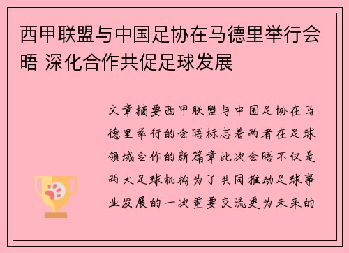 西甲联盟与中国足协在马德里举行会晤 深化合作共促足球发展