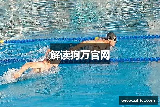 解读狗万官网